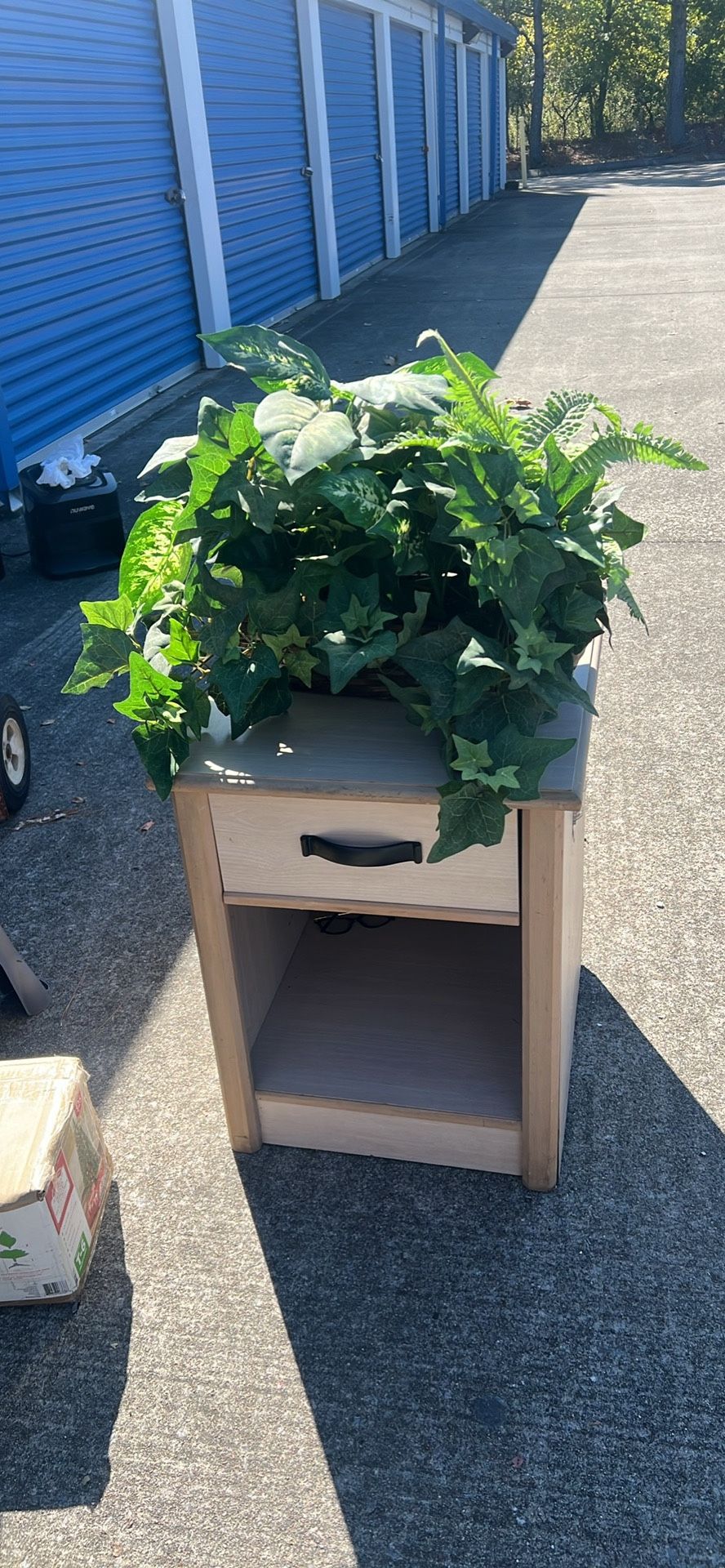Night Stand And Plant 