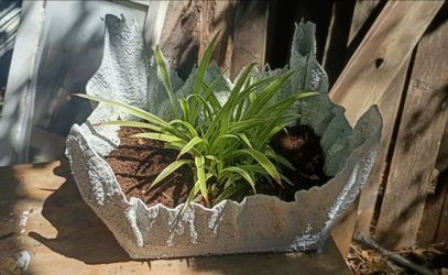 Homemade cement planters