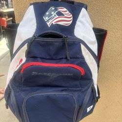 DeMarini Voodoo Bat Bag ($30)