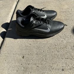 Tiger Woods Nike Golf Shoes 
