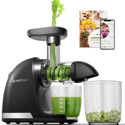 Juicer Machines - AMZCHEF Cold Press Masticating Juicer whole Fruit and Vegetable - Delicate Chew No Need to Filter - BPA Free Juice Extractor with 2 