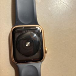 Apple Watch SE  44mm Aluminum 