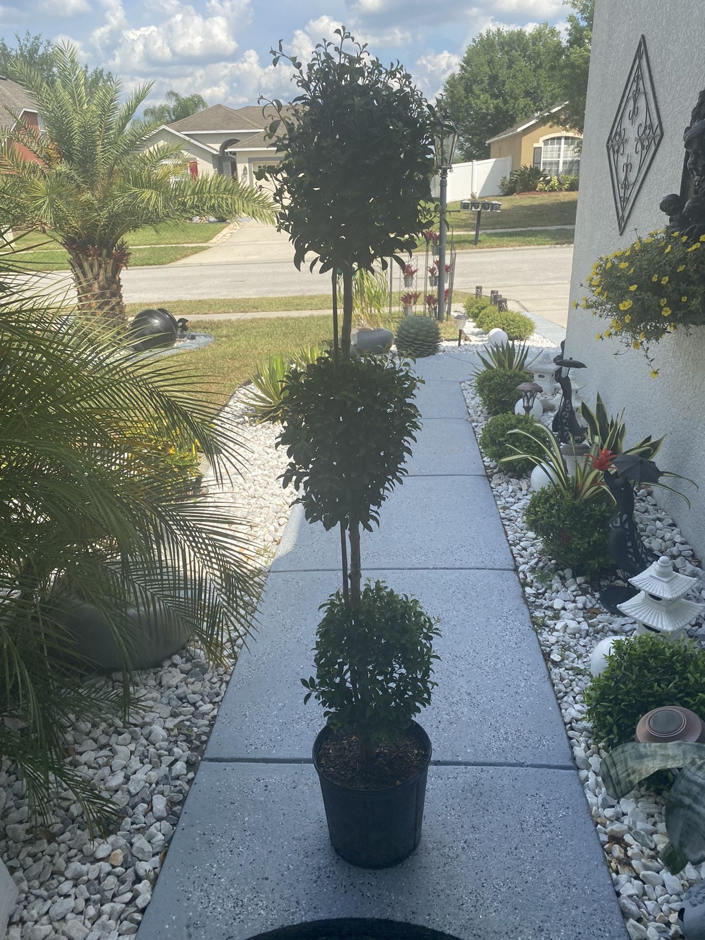 Palitos Con Dos Bolas Y Tres Bolsas