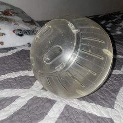hamster Ball