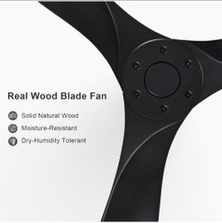 Ceiling fan