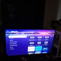 55in Roku Tv. 