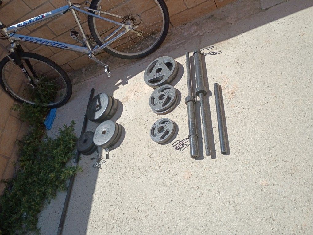 Workout Weights Also Bench