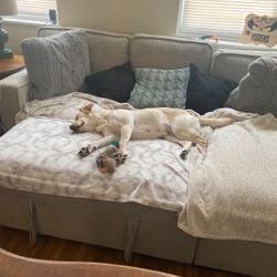 Pullout Couch