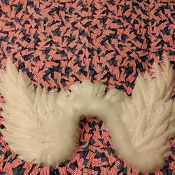 Costume Halloween Angel wings or military