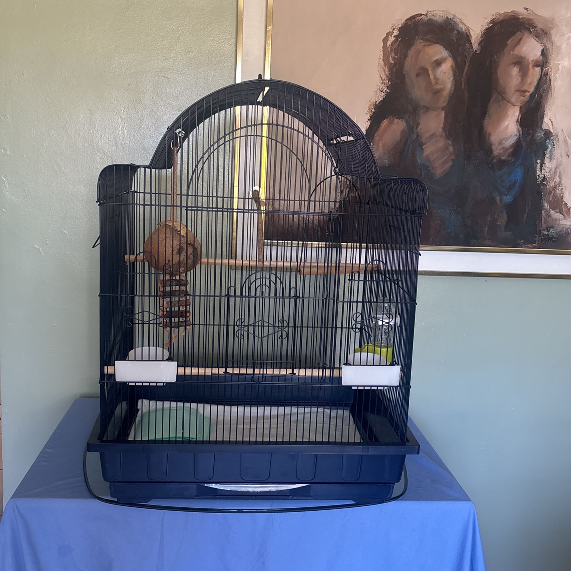 King Bird Cage with all accessories added and additional padding