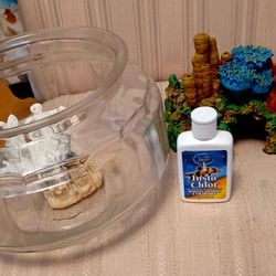 Fish Bowl And Coral
