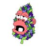 Grape Ape