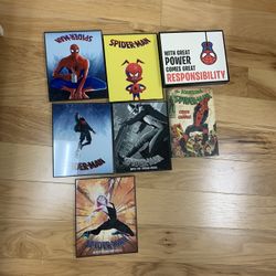 Spider-Man Frames 
