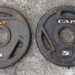 Weight Plates 5 Lbs
