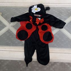 Little LadyBug