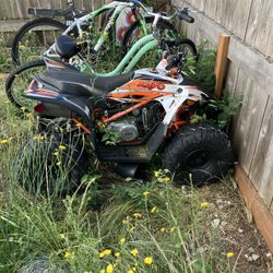 2021 Kayo Predator 125 Atvs 