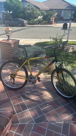 21 speed mens mountain bike