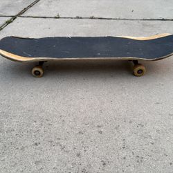 Skate board