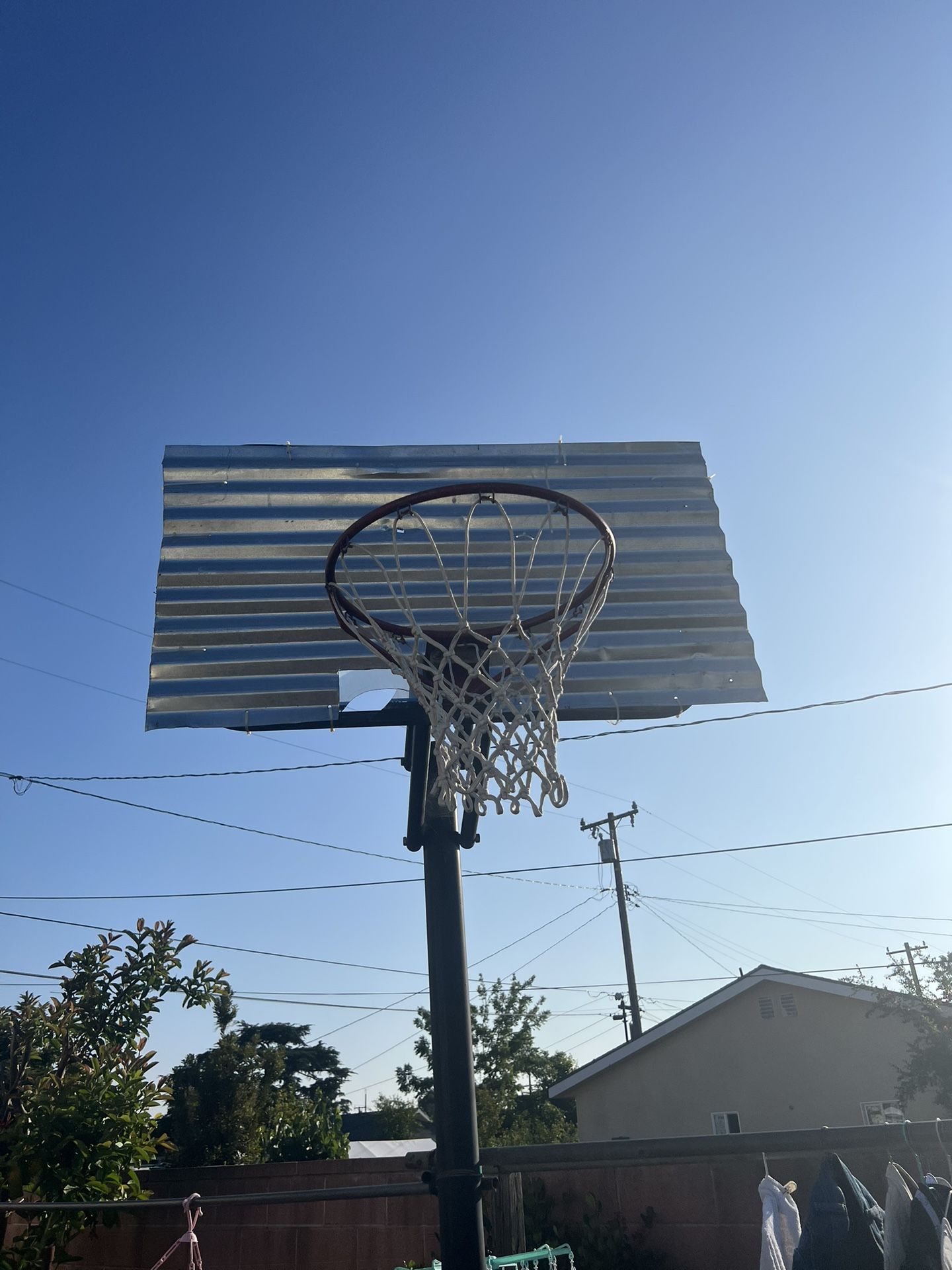 Lifetime Basketball Hoop