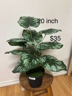 Artificial plant ( brand new)