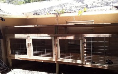 Kennels. Dog areas. Coops