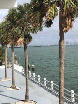 Miami beach 2/1