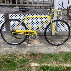 1972 Schwinn Collegiate