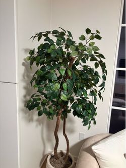 6 ft artificial plant