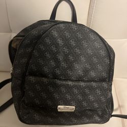 Guess And Zara Bags