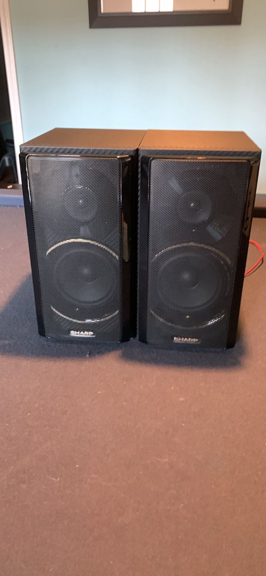 Sharp CP-BH250 Carbon Fiber Wrapped Speakers 90s - Black