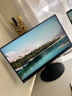 Lenovo ThinkVision External Monitor
