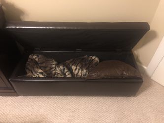 Storage Chest (Like Brand New )