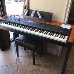 Korg Organ