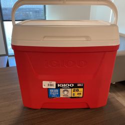 Igloo Cooler 26 L