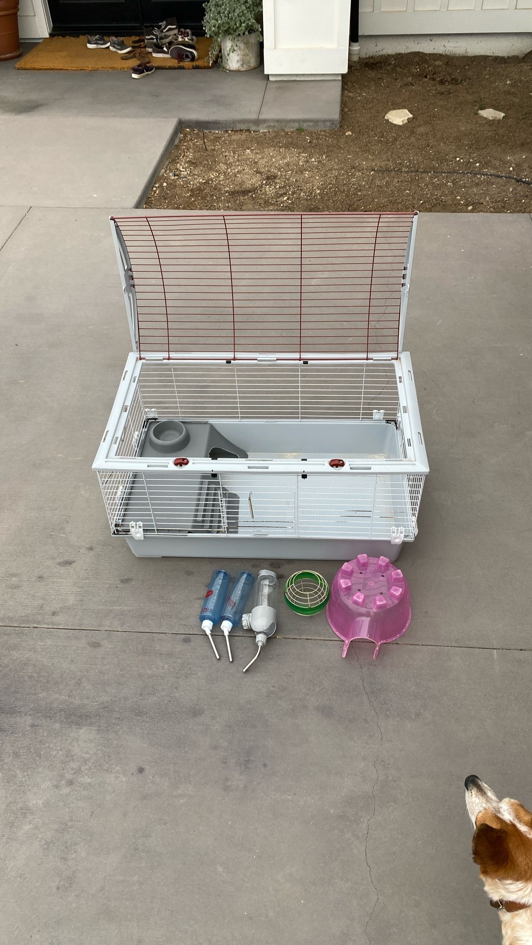 Cage For Guinea Pig Or Rabbit