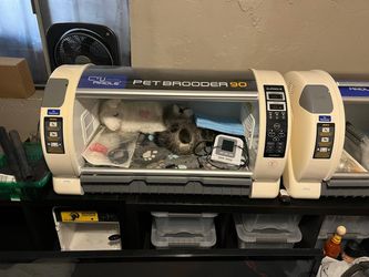 Incubator For Parrots Or Small Animals