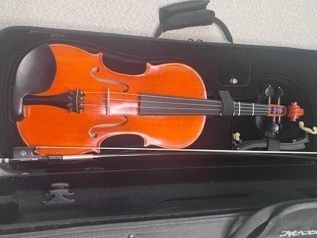 Violin