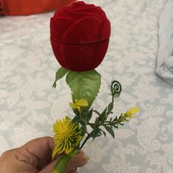 Red Rose 🌹 Ring Case For Gift 🎁 