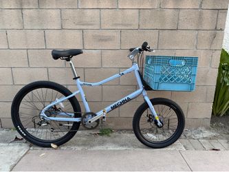 Meghna Pet care Cargo bike