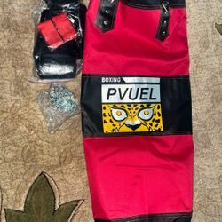 Punching Bag Brand New (empty) 