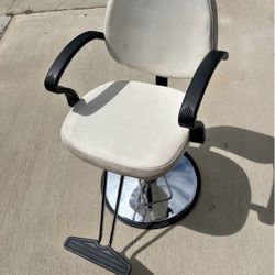 Salon Chair