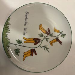 Vintage Franci Villa Vanilla Palm Beach Nonsense Collection 7.5" plate Shoebootia Utilis