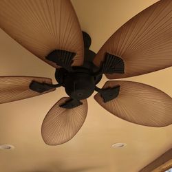 Fan/abanico