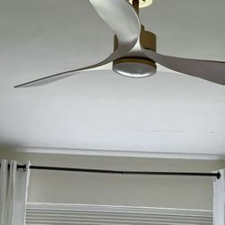 Modern Fan