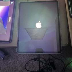 iPad Pro 12.9 4th Generation 256 GB