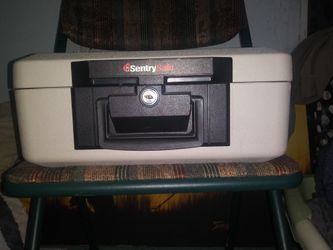 Sentry safe
