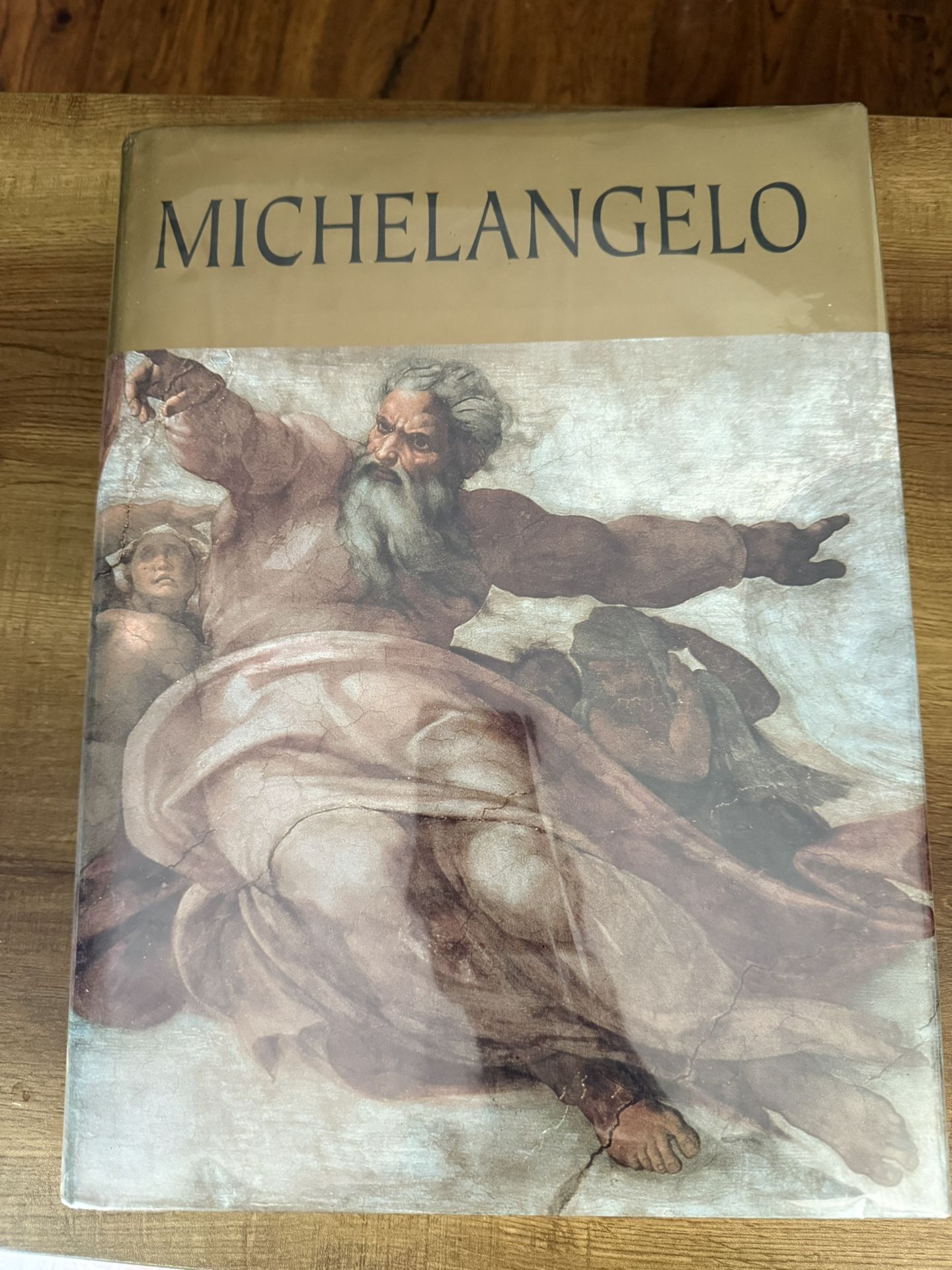 Michelangelo Book
