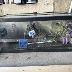 40 Gallon Fish Tank