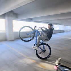 Thruster 29 Inch Geared Bike