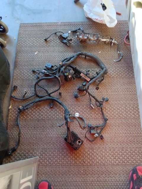 Fuel Injectors System With Harness